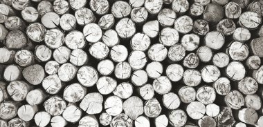 Birçok kütük, odun ya da kereste yığını ateş ve arka plan için siyah ve beyaz tarzda ya da tek renkli tonda. Sanat duvar kağıdı, doğal malzeme, soyut ve yuvarlak şekilli konsept.