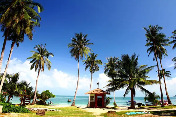 Birçok hindistan cevizi palmiyesi ağacı ve açık mavi gökyüzü olan küçük bir ev ve arka plan için Mu Ko Ang Tang Ulusal Parkı, Surat Thani, Tayland. Turistler için güzel bir manzara ve dönüm noktası. 