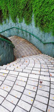 Merdivenlerden inen fayans desenli bahçe parkındaki kaba duvarda yeşil bir sarmaşık var. Dış tasarım ve Doğanın Güzelliği.