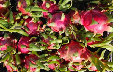 Süpermarkette ya da tazelik pazarında satılık bir sürü taze ejderha meyvesi var. Hasat, Tarım Üretimi veya Tropikal Meyve.