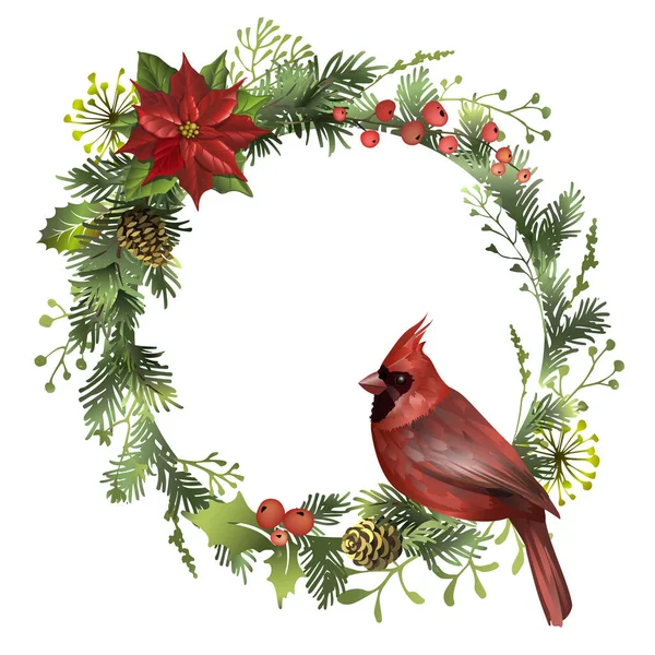 Encerclez Cadre Noël Avec Oiseau Cardinal Rouge Des Branches Pin — Image vectorielle