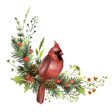 Kırmızı kardinal kozalaklı, ökseotu yapraklı ve kırmızı böğürtlenli çam dalında oturuyor. Noel kartı şablonu. Şenlikli poster tasarımı. Vektör illüstrasyonu.