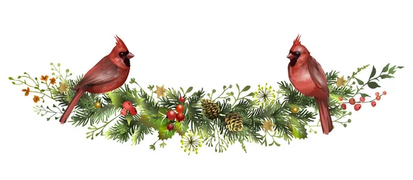 Guirlande Pins Aux Oiseaux Cardinaux Rouges Branche Épinette Avec Cônes — Image vectorielle