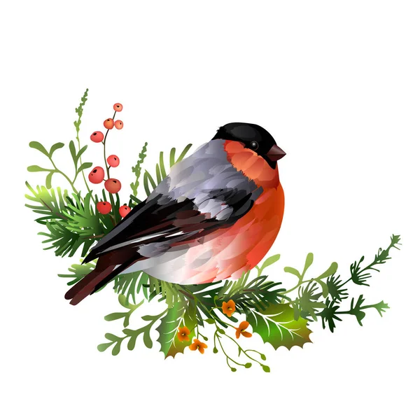 ブルフィンチ鳥 赤い果実とミステリーの葉で枝を発芽させます クリスマスの要素 ベクターイラスト — ストックベクタ