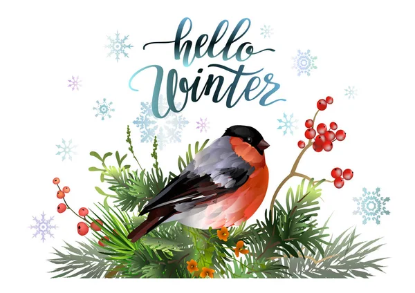 Hello Winter Karta Šablona Bullfinch Pták Červené Bobule Smrkové Větve — Stockový vektor