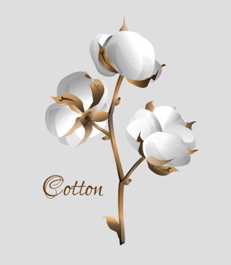 Otto Dekoratif Şubesi. Duvar kağıtları, arka planlar, tekstil, kartpostal vektörü illüstrasyonu için tasarım ögesi