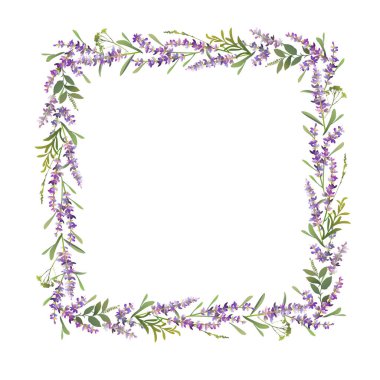 Square lavender frame design. Vector colorful illustration.