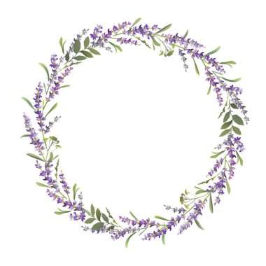 Lavender wreath design. Lavender frame. Vector colorful illustration.