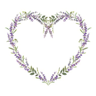 Lavender heart. Lavender frame design. Vector illustration.