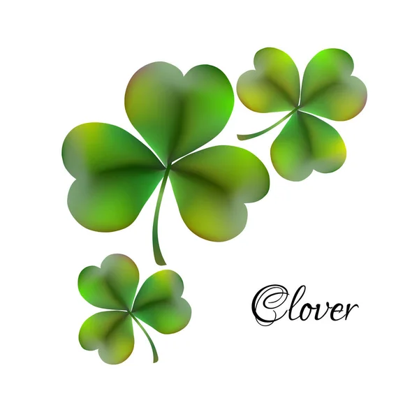 Three Clover Leaves Elements Saint Patrick Day Vector Illustration — Vetor de Stock