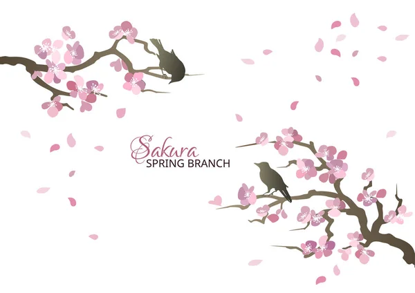 Jarní Doupě Sakura Větvemi Ptáky Jarní Plakát Nebo Přání Kvetoucí Vektorová Grafika