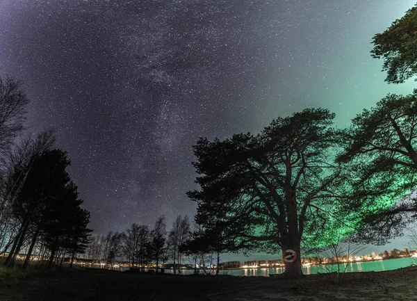오로라에 가까운 아름다운 은하는 소나무 있으며 스웨덴 북부의 스탁스 북극광의 — 스톡 사진