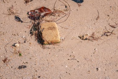 Kumsala dalgaların getirdiği eski plastik sünger. Çevre kirliliği, Tayland. Fotoğrafı kapat.