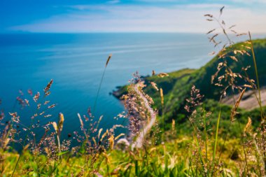 Net bir gökyüzünün altındaki sakin mavi sulara yansıyan, yüksek dağlarla çevrili bir Norveç fiyordunun çarpıcı görüntüsü..