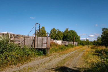 Eski ve paslı tren vagonları, Norveç kırsalında, parlak mavi bir gökyüzü altında yemyeşil bitki örtüsüyle çevrili bir çakıl yolunun yanında çürüyor.