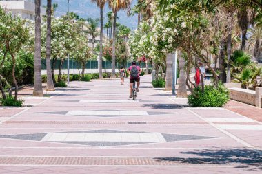 Güneşli bir günün tadını çıkaran bisikletçiler, palmiye ağaçları ve İspanyol sahil şeridinde çiçek açan çalılarla dolu dekoratif asfalt bir yolda ilerliyorlar.