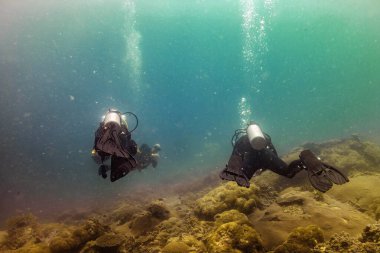 İki dalgıç çamurlu bir resifi keşfediyor. Hava kabarcıkları büyüleyici bir sualtı sahnesinde yüzeye yükseliyor ve okyanus keşiflerinin özünü yakalıyor.