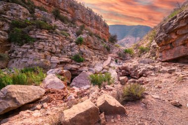 Gün batımında Stockholm 'ün şehir manzarasını yakalayan panoramik manzara, bir tren istasyonu, konut binaları, yemyeşil alanlar, ve arka planda biraz su, Stockholm, İsveç