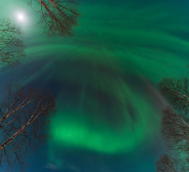 İnsanlar karla kaplı, yıpranmış, terk edilmiş evi terk ettiler. Kışlık çam ağaçları ve kar tozlu çalıların arasında dinlenen boyanmış boyalar, ıssızlığı ve zamanın geçişini anımsatıyordu. Kır tarafı, insanlar şehirlere taşınıyor. İsveç