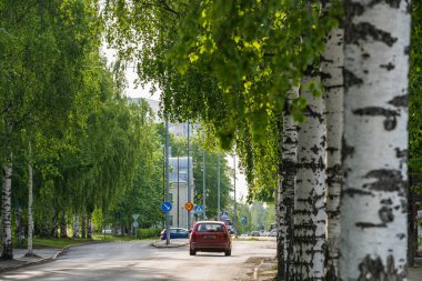 İsveç 'in Umea şehrinde bir caddeyi çevreleyen yemyeşil ağaçlar, düz asfalt boyunca ilerleyen kırmızı bir arabanın sakin kentsel ortama bir renk katmasıyla resim gibi bir manzara yaratıyor.