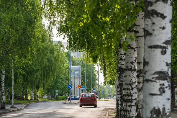 İsveç 'in Umea şehrinde bir caddeyi çevreleyen yemyeşil ağaçlar, düz asfalt boyunca ilerleyen kırmızı bir arabanın sakin kentsel ortama bir renk katmasıyla resim gibi bir manzara yaratıyor.