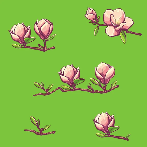 在绿色背景上的木兰花分枝 绽放的粉红花朵 木兰花分枝 — 图库矢量图片