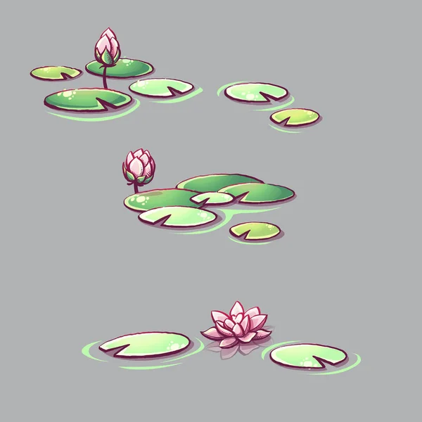 Εικονογράφηση Διάνυσμα Σύνολο Των Λουλουδιών Λωτού Ένα Διαφανές Φόντο — Διανυσματικό Αρχείο