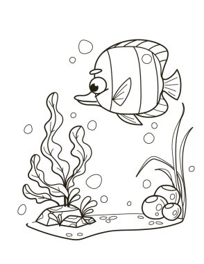 Su bitkileri ve baloncukların yanında yüzen neşeli bir kelebek balığının basit bir çizimi. Boyama kitapları ya da deniz yaşamına ilişkin eğitim materyalleri için ideal. Vektör illüstrasyonu