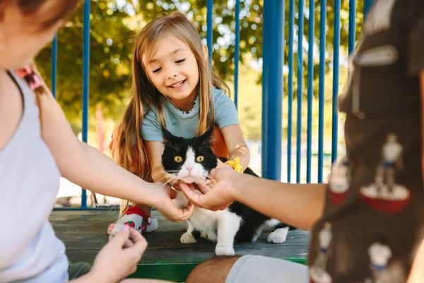 Family kicks a cat at a childrens playground. High quality photo