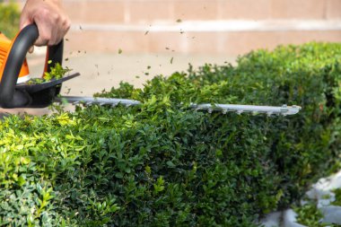 Bir işçi elektrikli testereyle tahta keser.