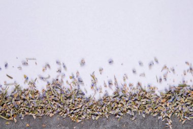 Gri arka planda kurutulmuş lavanta çiçekleri. Boşluğu kopyala.