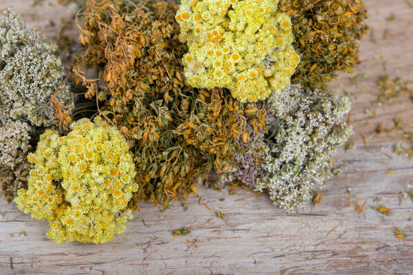 Сушёные букеты перфоранта, бессмертные цветы и ярровые цветы