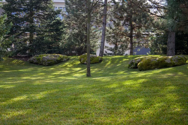beautiful green lawn with trees on background