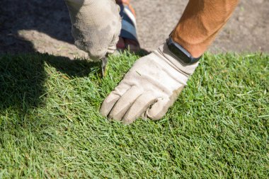 Bir işçi yuvarlanmış bir çim serer ve bir bıçakla çimleri keser..