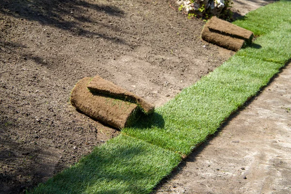 転がされた芝生 芝生の層 選択的なフォーカス ロイヤリティフリーのストック写真