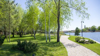 Parktaki patika, yaz günü