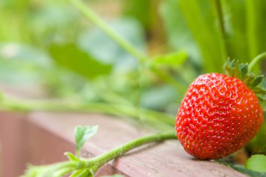 Ahşap arka planda çilek.