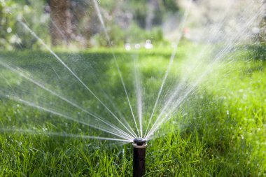 Bahçedeki çimleri sulayan fıskiyeler. Seçici odak.