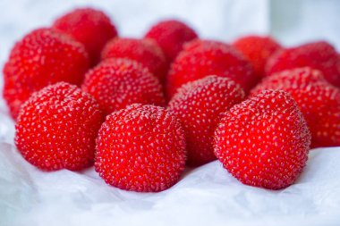 Rubus illecebrosus. Kırmızı balonlu böğürtlen ya da çilekli ahududu yakın çekim