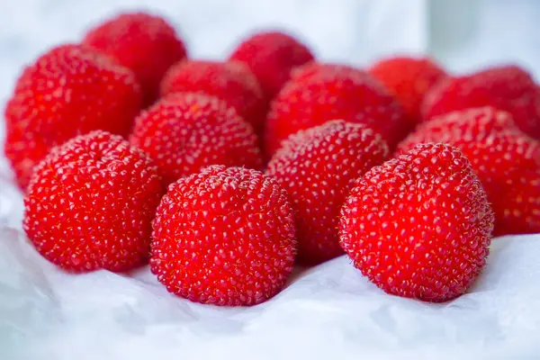 Rubus illecebrosus. Kırmızı balonlu böğürtlen ya da çilekli ahududu yakın çekim