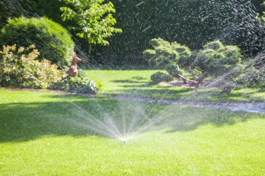 Bahçedeki yeşil çimlerin üzerine su püskürten bahçe fıskiyesi..