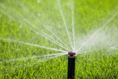 Fıskiyeler yeşil çimenlere fıskiye püskürtüyor.