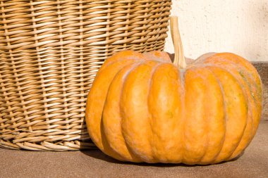 kabak ve hasır sepet duvarın arka planında