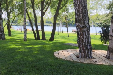 Arka planda göl manzaralı bir park.