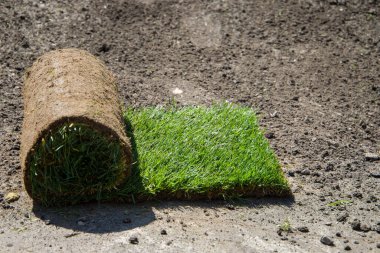 Bahçede yerde bir tomar çimen. Yakın plan..