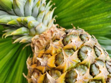 Ananas aromalı tropik meyve.