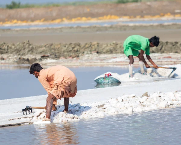 Stock image Bhambore Sindh Pakistan 2022, Labor collecting and stacking sea salt at fields early morning, Bhambhore also known as Bhanbhore