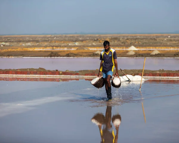 stock image Bhambore Sindh Pakistan 2022, Labor collecting and stacking sea salt at fields early morning, Bhambhore also known as Bhanbhore