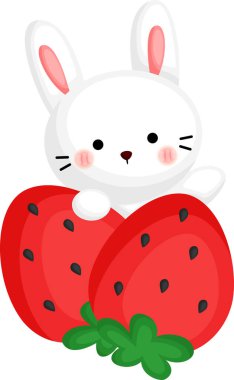 Tavşan ve çilek vektörü