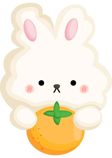 Vector Conejo Abrazando Una Naranja — Vector de stock